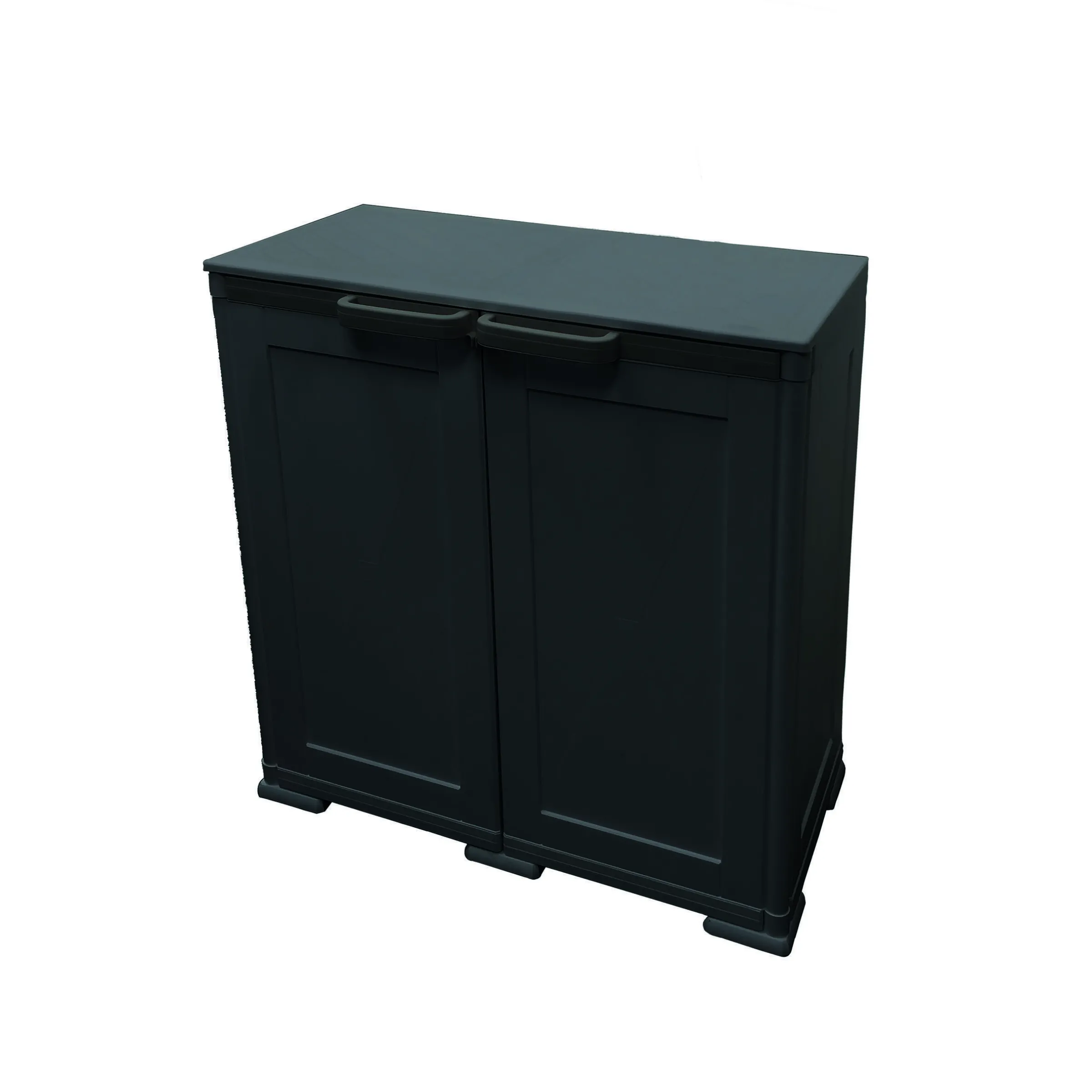 Armoire de rangement double avec portes