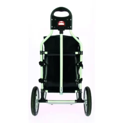 Caddie pour vélo électrique