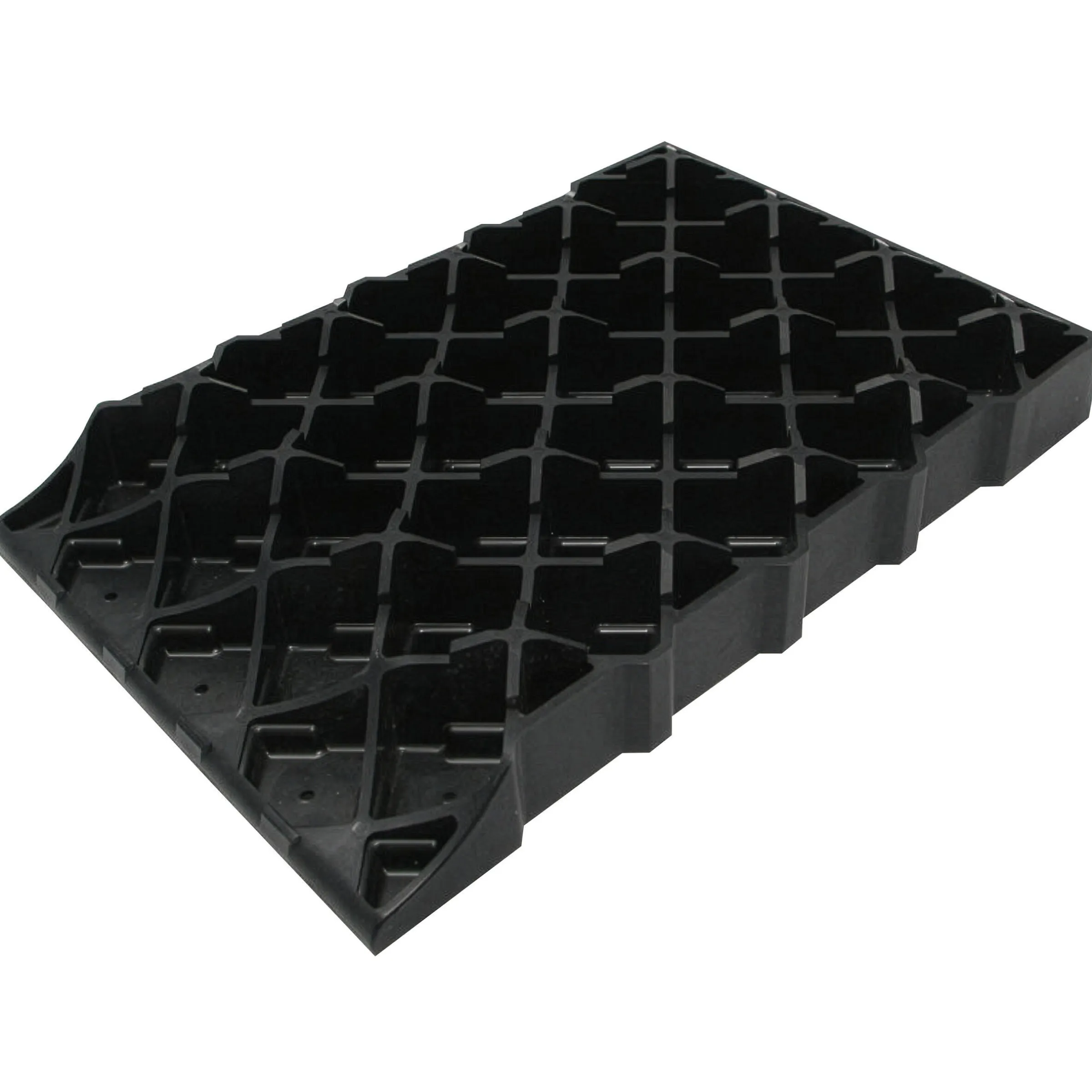 Cales base large x1