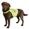 Gilet de sécurité pour chien taille M