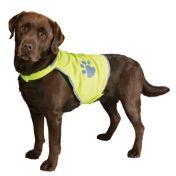 Gilet de sécurité pour chien taille M