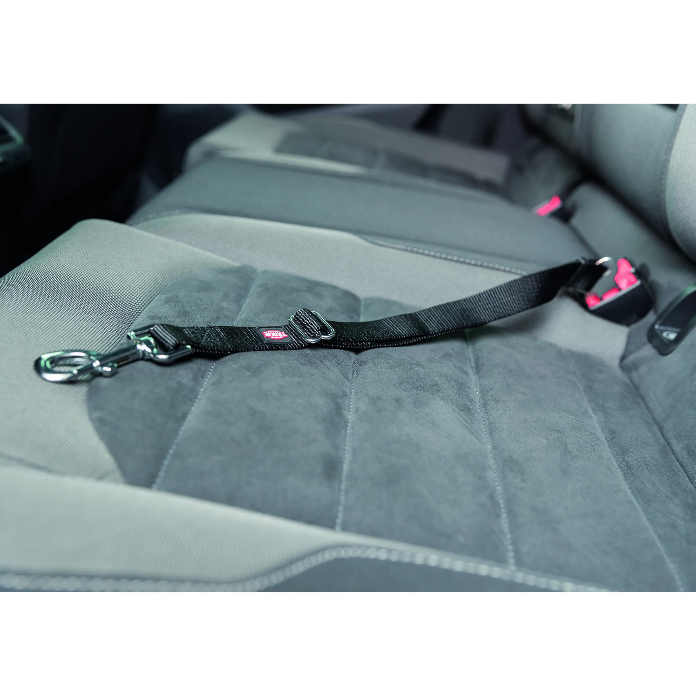 Laisse de sécurité automobile pour chien S/M