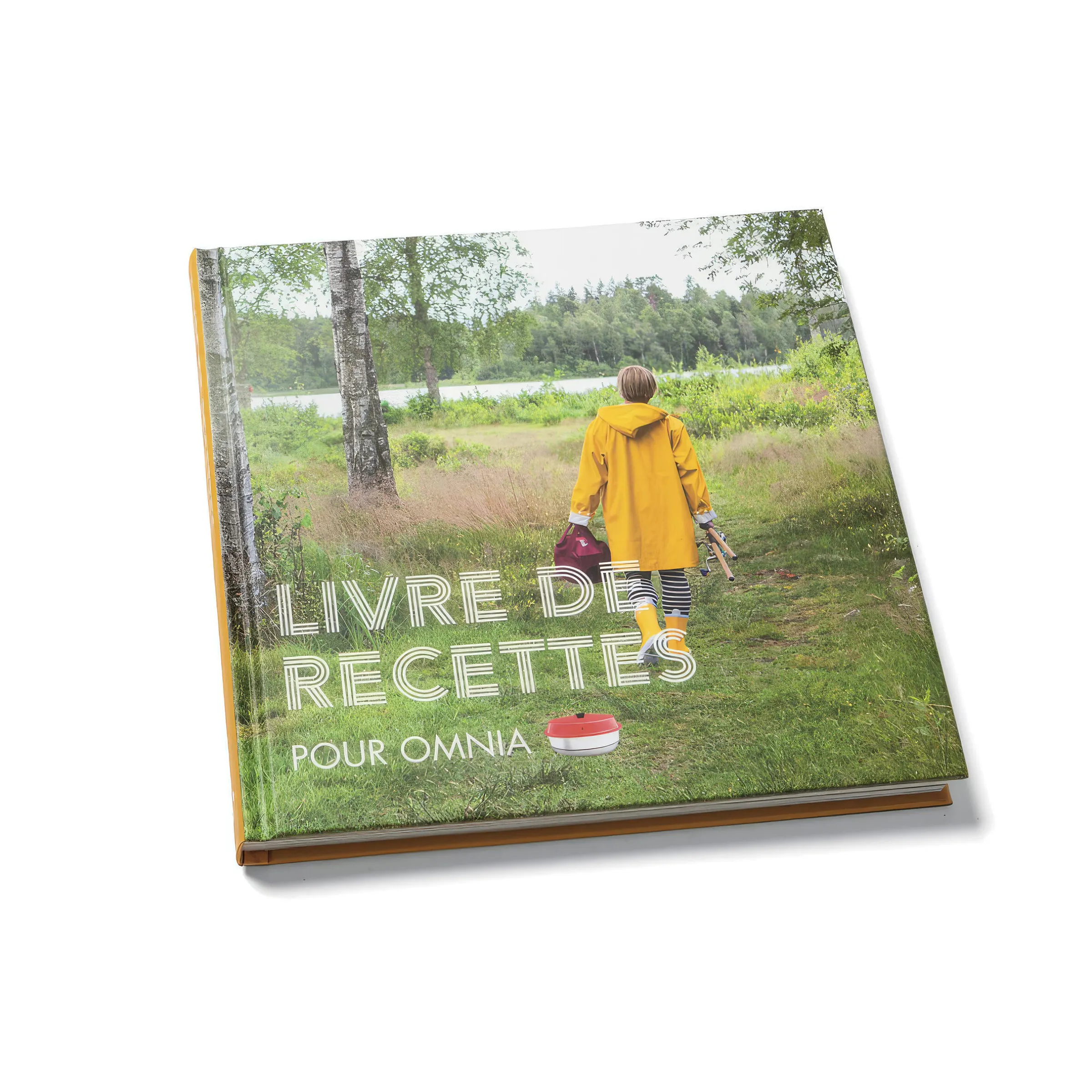 Livre de recettes pour four