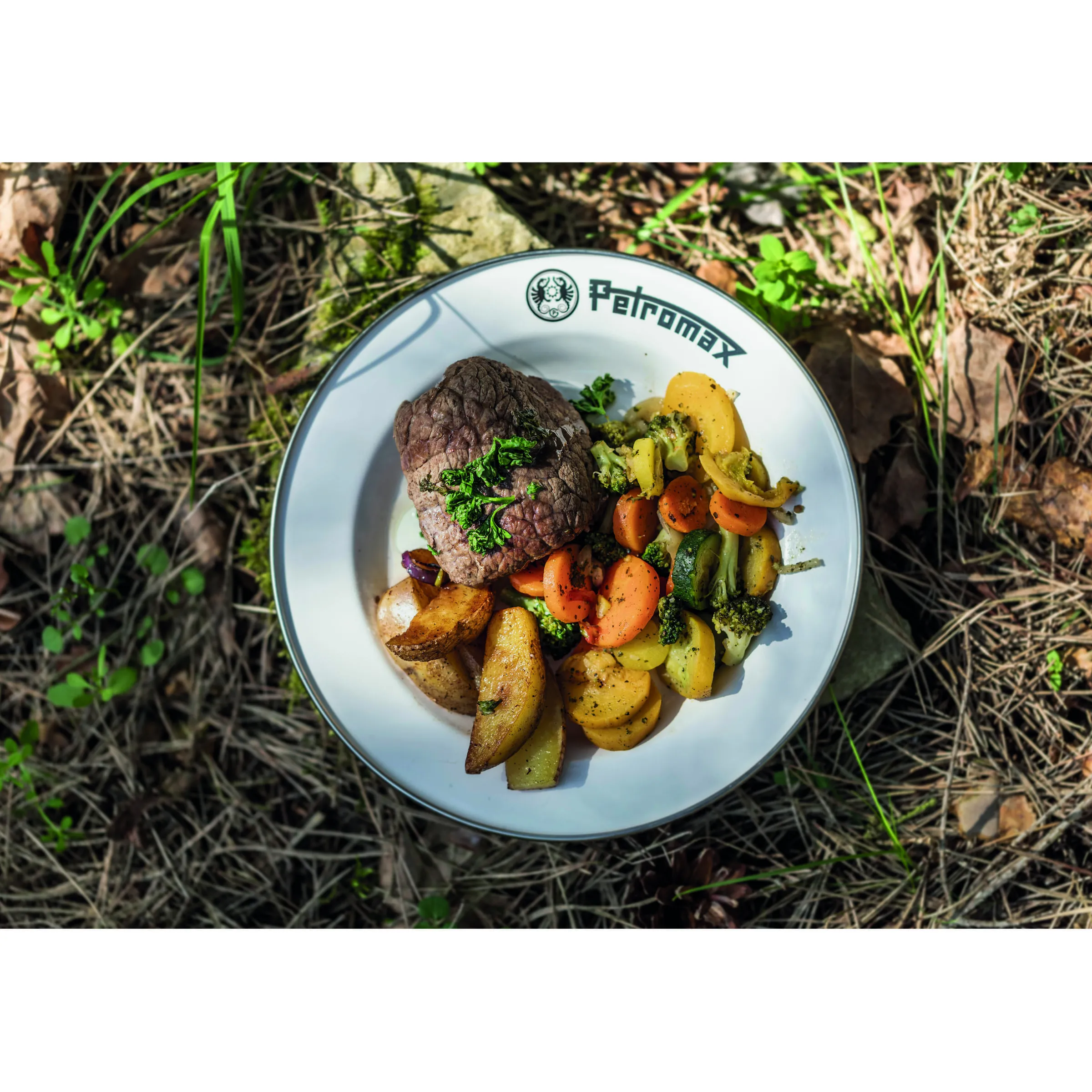Lot de 2 assiettes en émail