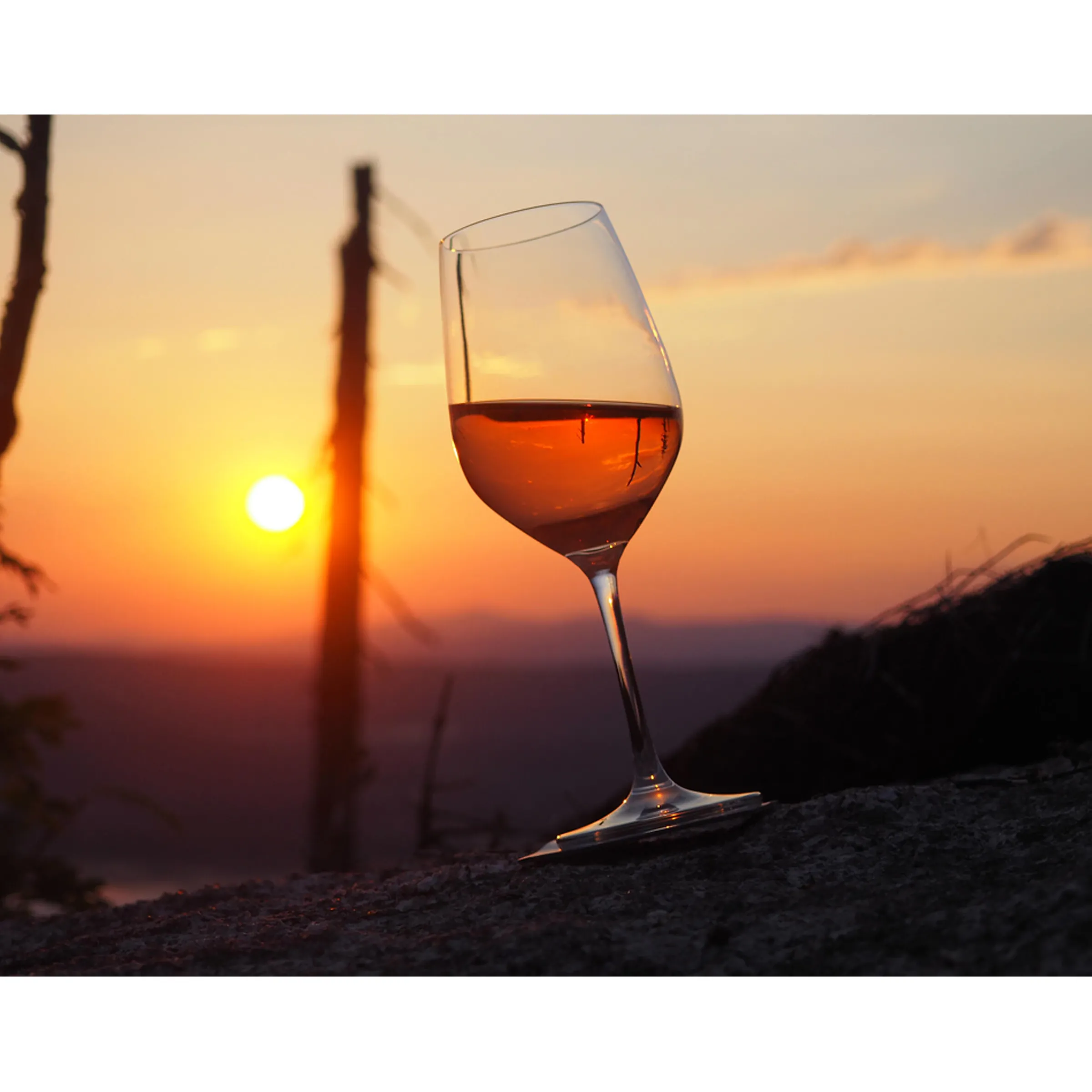 Lot de 2 verres à vin en cristal aimantés