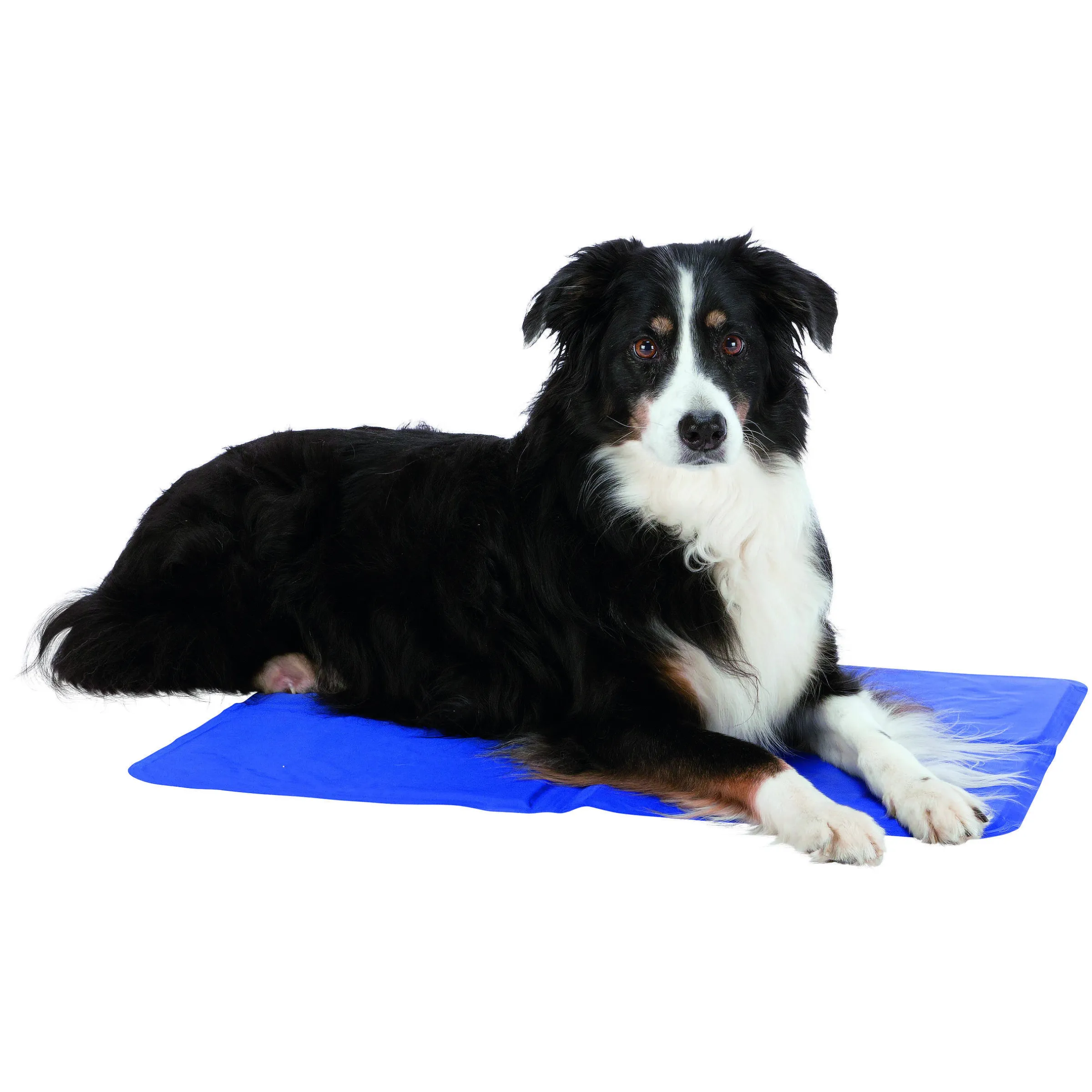 Matelas rafraîchissant pour chien