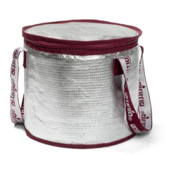Sac isotherme avec packs de glace